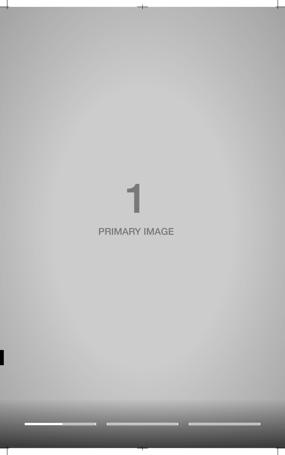Layout component: imagery, primary.
